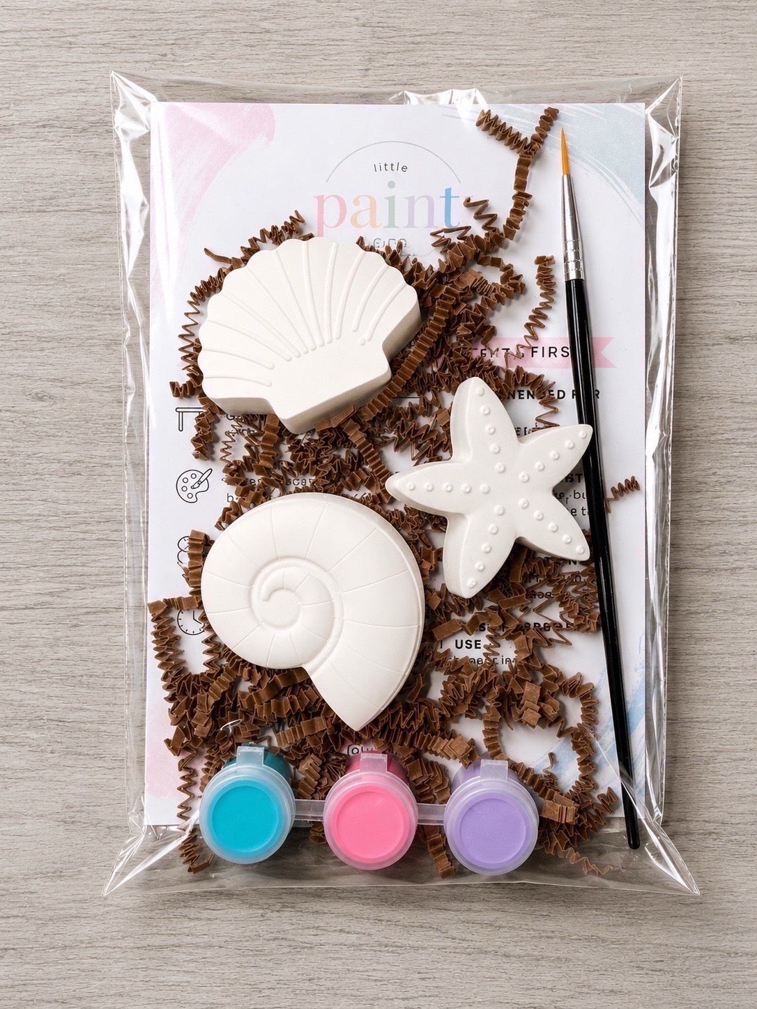 Seaside Treasures Plaster Painting Kit!