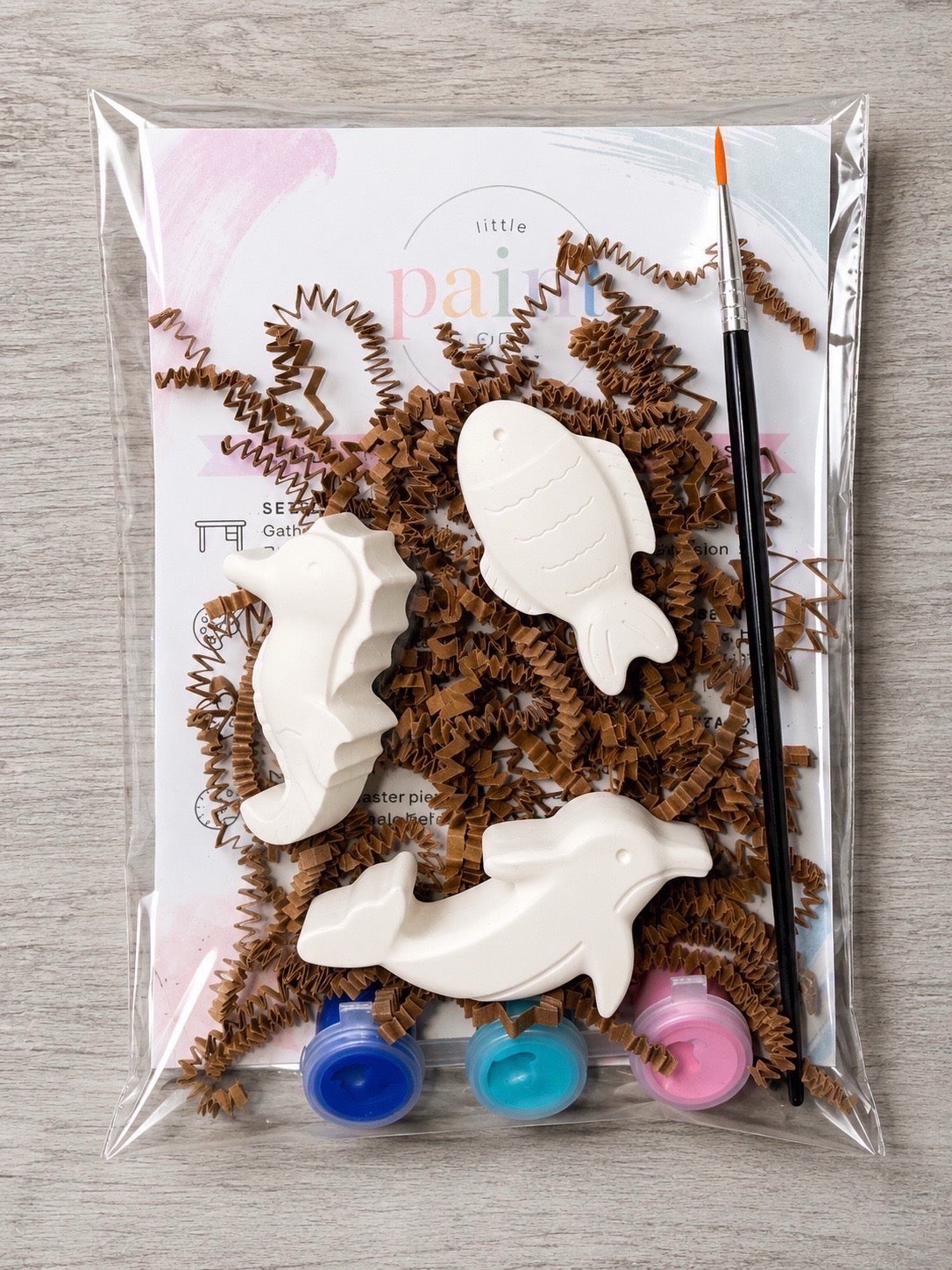 Ocean Friends Plaster Painting Kit!